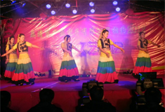 2012年元旦文藝晚會(huì)